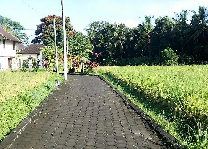 Namindra 3* Payangan