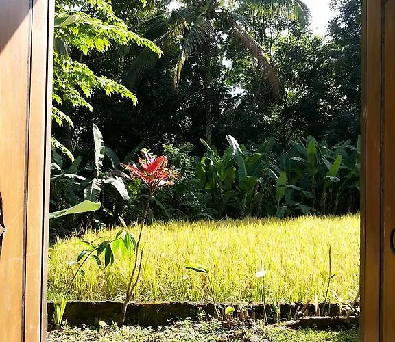 Namindra 3*